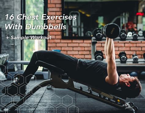 chest excersizes|Iba pa.